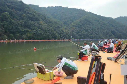 规格高、规模大、奖项多 —— 2020年“武夷山水·圣农杯”全国郊野钓鱼大赛全解析